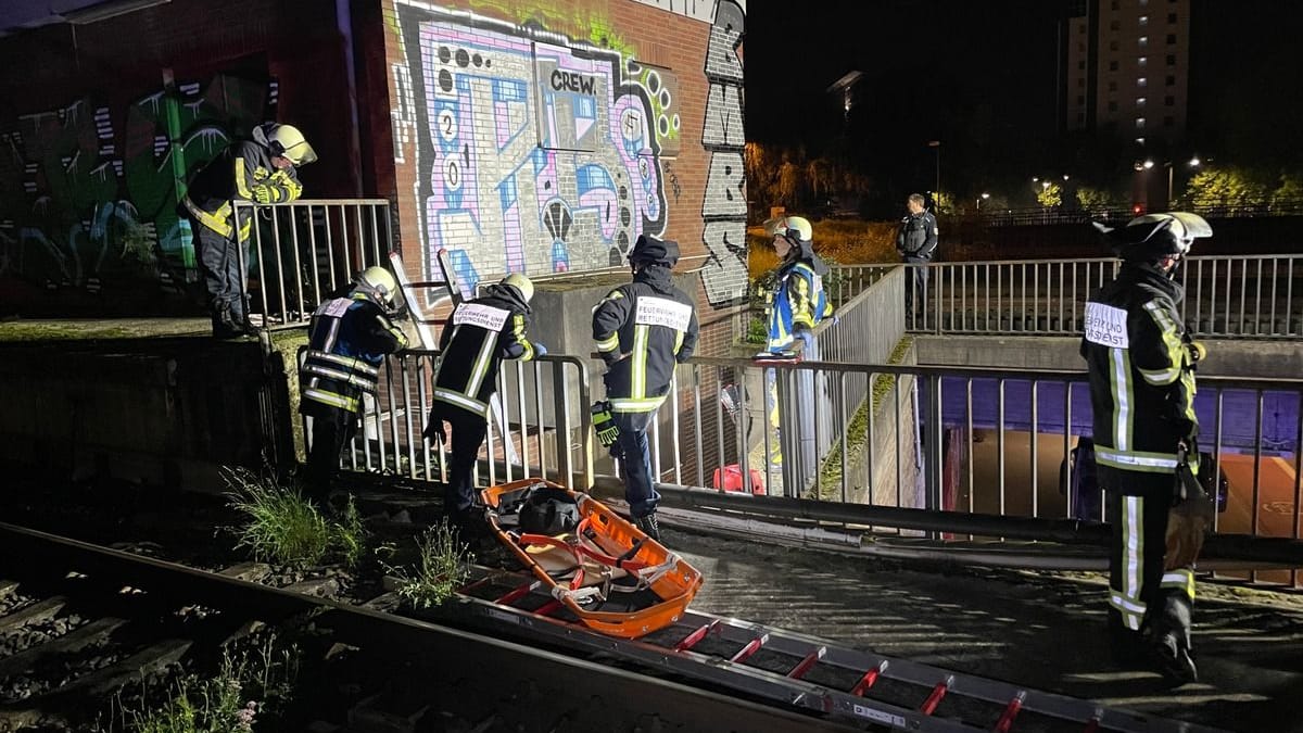 Mehrere Einsatzkräfte kümmerten sich um die sichere Bergung.