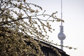 Der Fernsehturm von Berlin an einem sommerlichen Tag