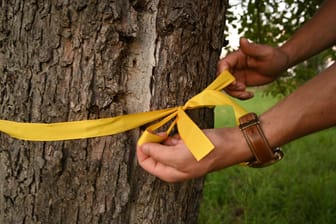 Eine Person bindet ein gelbes Band um einen Baum: Die Aktion vom Zentrum für Ernährung und Hauswirtschaft Niedersachsen findet zum vierten Mal statt.