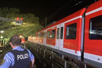 Ein umgestürzter Baum liegt auf einer S-Bahn unweit von München: Die Fahrgäste mussten evakuiert werden.