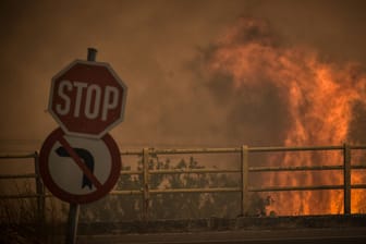 Einer von zahlreichen Waldbränden in Griechenland, die im Juli außer Kontrolle gerieten: Der Rekordmonat brachte vielerorts Hitzewellen und erhöhte das Brandrisiko deutlich.