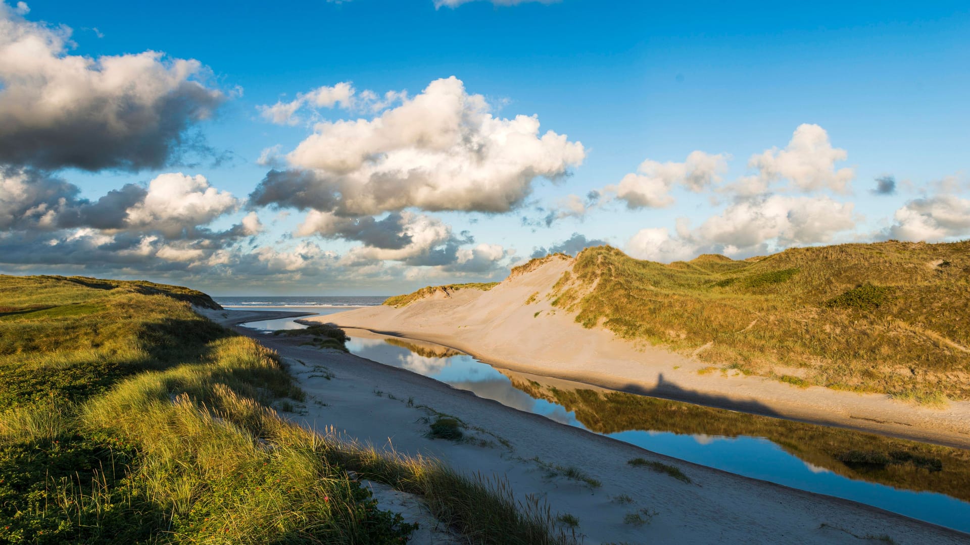 Henne Strand in Dänemark (Archivbild): Die Frau kam nicht vom Schwimmen zurück.