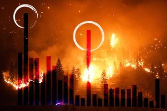 Sind Waldbrände mehr geworden?