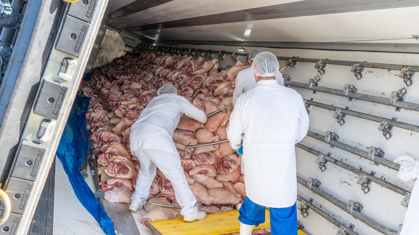 Ein Lastwagen ist auf der A3 umgekippt: Helfer laden vor Ort rund 21 Tonnen Fleisch um.