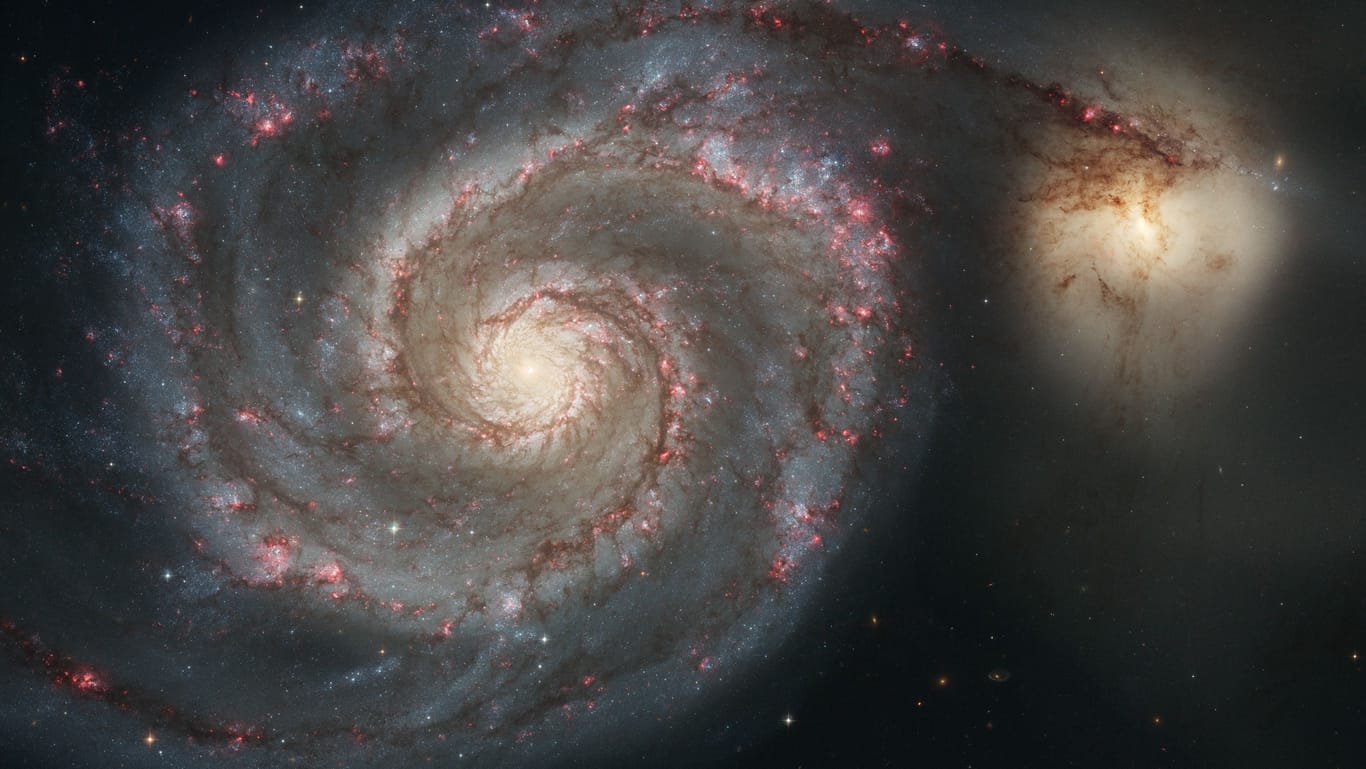 Dieses Bild der Spiralgalaxie M51 (NGC 5194) wurde im Januar 2005 mit der Advanced Camera for Surveys an Bord des NASA/ESA-Weltraumteleskops Hubble aufgenommen. Die Galaxie, die wegen ihrer wirbelnden Struktur den Spitznamen Whirlpool trägt, befindet sich in 31 Millionen Lichtjahren Entfernung im Sternbild Canes Venatici. Die kleine, gelbliche Galaxie an der äußersten Spitze eines der Arme des Whirlpools trägt den Namen NGC 5195.
