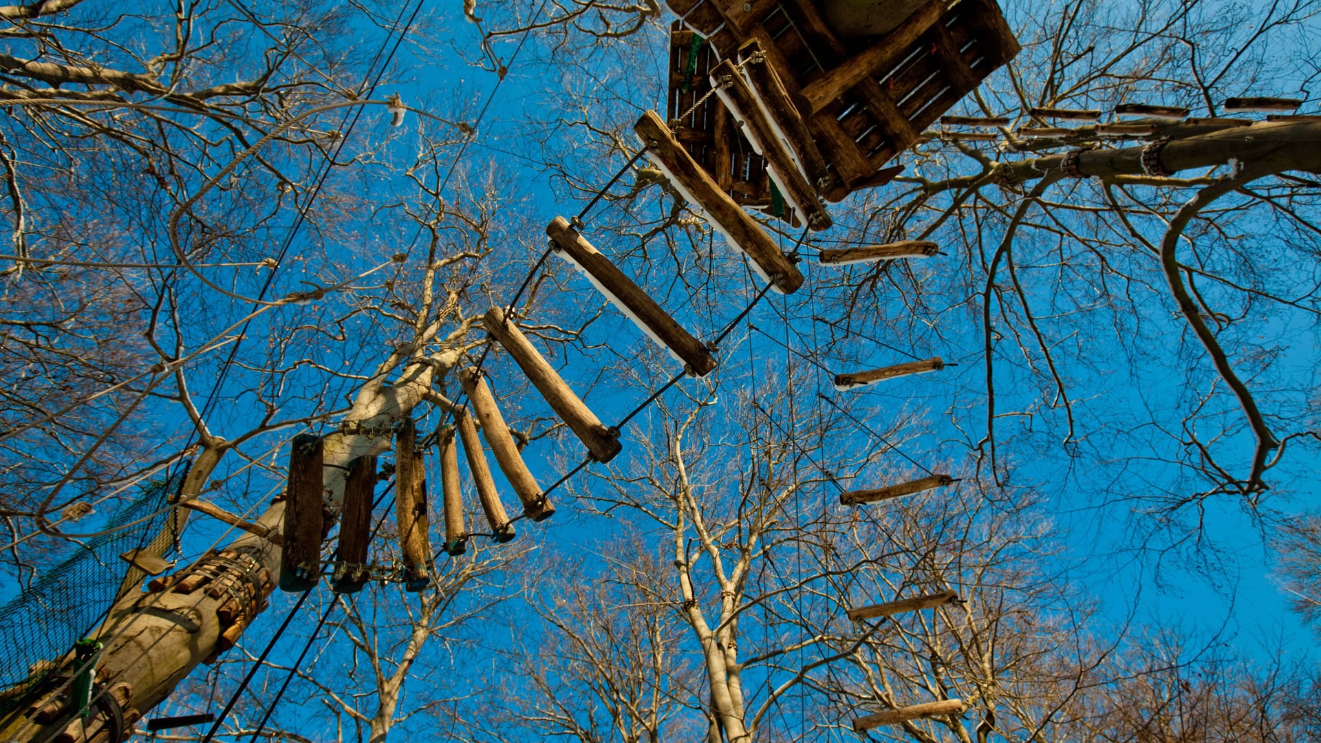 Ein Hochseilgarten (Symbolbild): In Zülpich ist ein Kölner in einem Kletterpark tödlich verunglückt.
