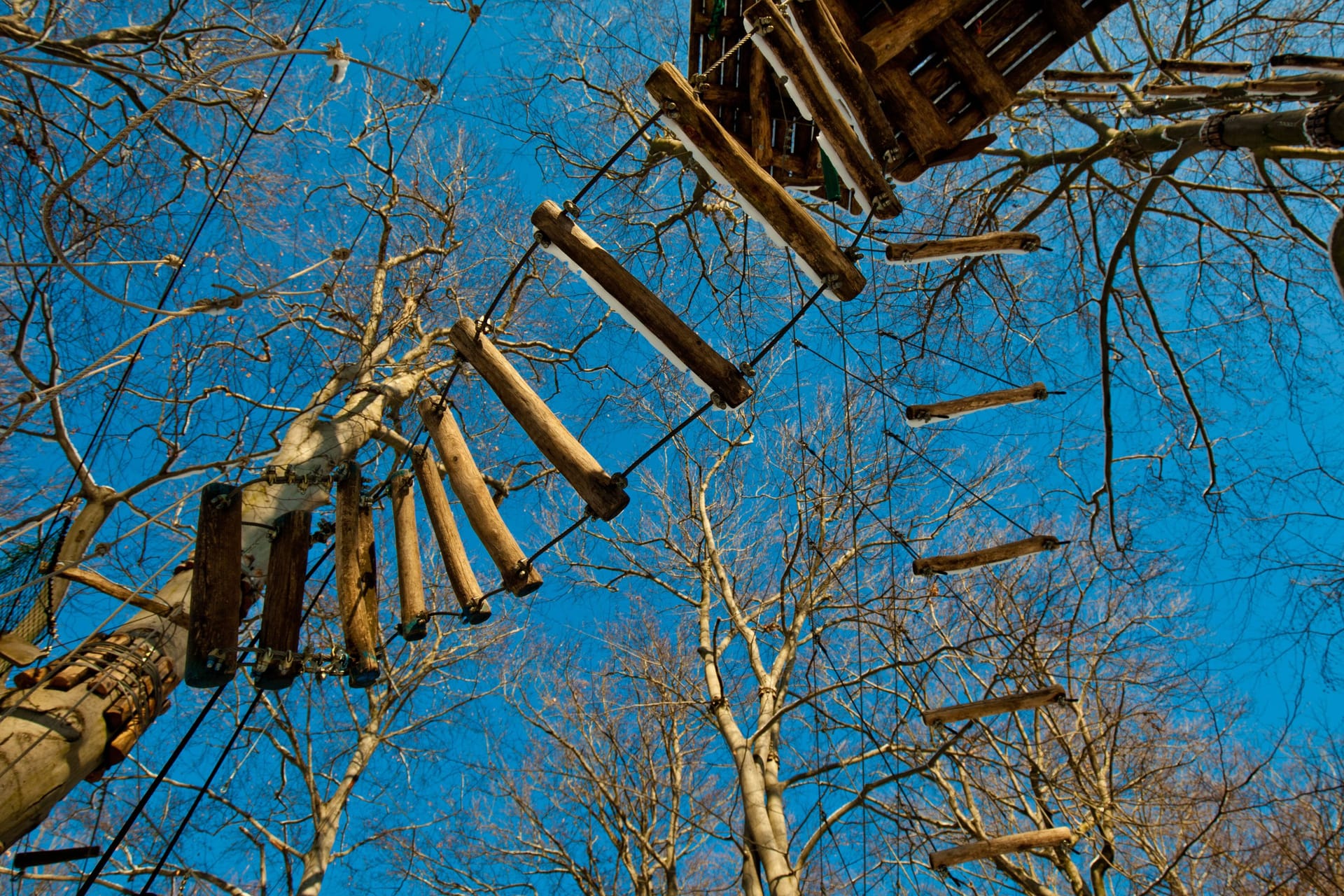 Ein Hochseilgarten (Symbolbild): In Zülpich ist ein Kölner in einem Kletterpark tödlich verunglückt.