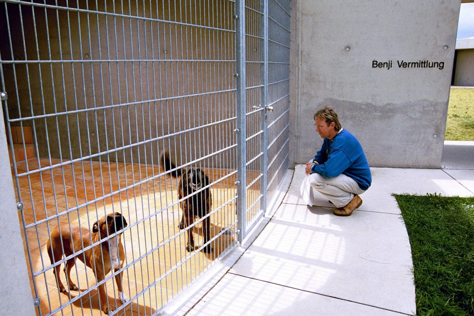 Hunde im Tierheim Berlin: Auf dem Gelände gibt es sechs Hundehäuser.