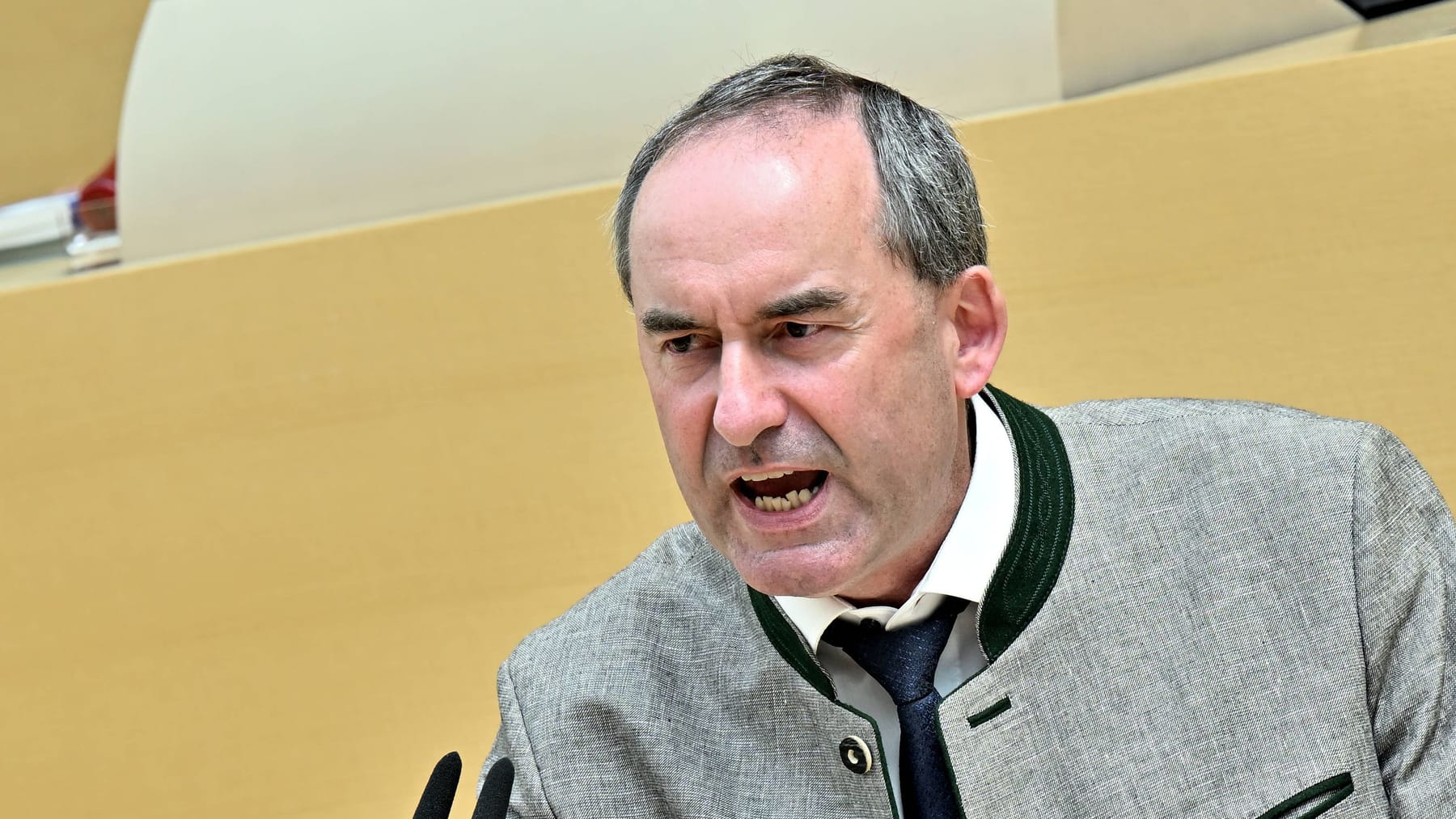 Maischberger-Zwischen-Aiwanger-und-Nouripour-wird-es-hitzig