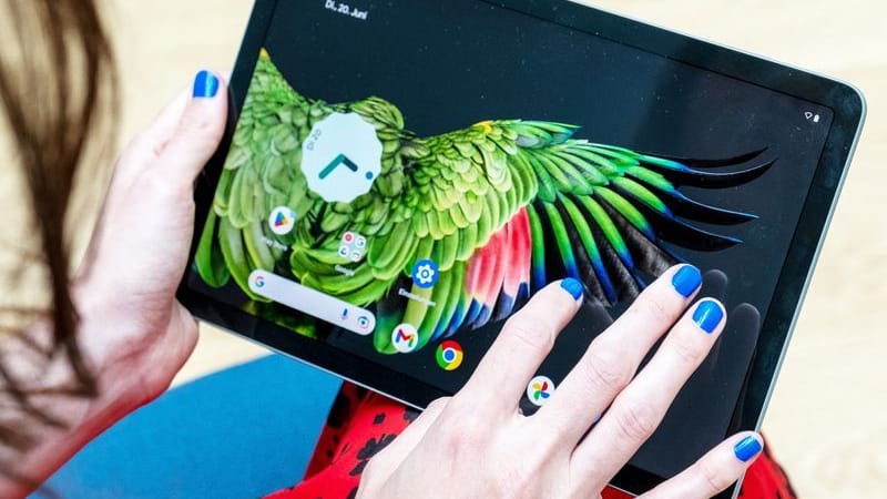 Schillernd: Auf Googles neuem Tablet erscheinen die Farben sehr gesättigt. Schillernd: Auf Googles neuem Tablet erscheinen die Farben sehr gesättigt.