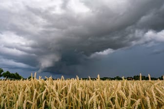 Gewitterwolke über einem Getreidefeld: Deutschland erwartet in den kommenden Tagen Unwetter.