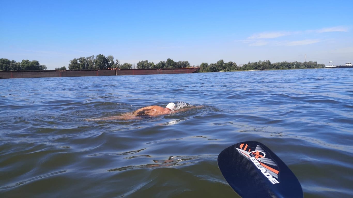 Von der Rheinquelle bis zur Nordsee-Mündung: Der 47-jährige Rumäne Avram Iancu schwimmt und schwimmt.