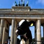Mädchen reitet auf Kuh durch Berlin – das steckt dahinter 