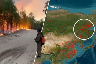 Russland, Feuer, Ukraine, Wald, Waldbrand, Karte,