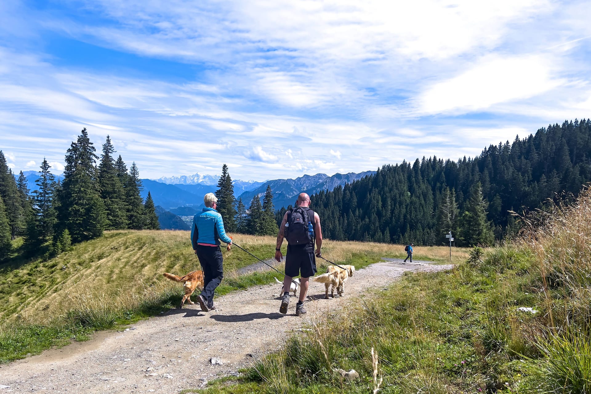 Wandern: Ein beliebtes Hobby in Deutschland, das zugleich sehr gesund ist.