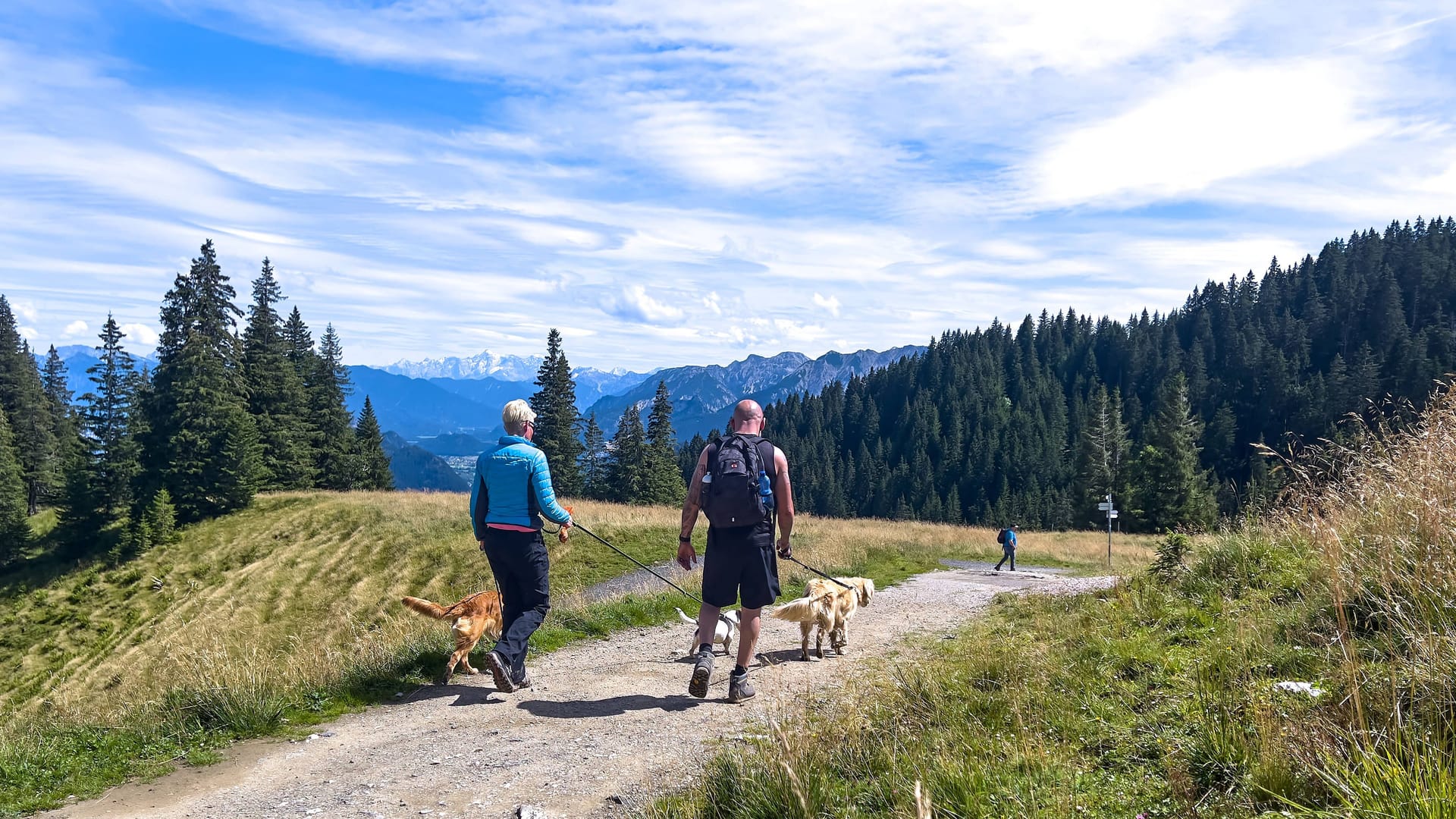 Wandern: Ein beliebtes Hobby in Deutschland, das zugleich sehr gesund ist.