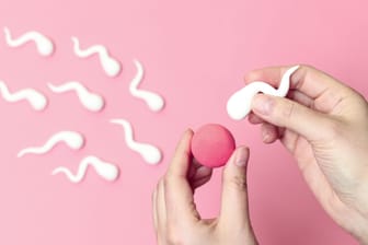 Spermien und Eizelle