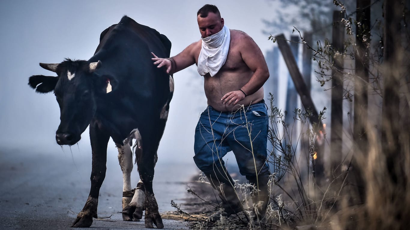 Ein griechischer Bauer versucht sein Vieh vor einem Waldbrand zu retten, der völlig außer Kontrolle geraten ist: Der Rekordjuli brachte vielerorts Hitzewellen und erhöhte das Brandrisiko deutlich.