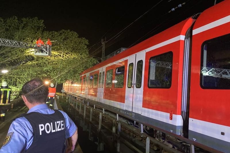 Ein umgestürzter Baum liegt auf einer S-Bahn in Erdweg.