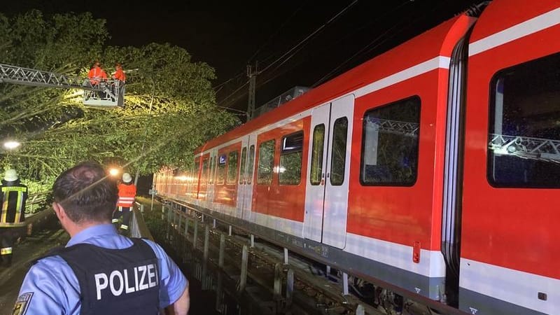 Ein umgestürzter Baum liegt auf einer S-Bahn in Erdweg.