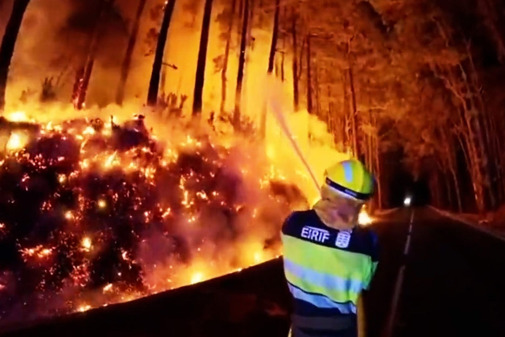 Feuer, Teneriffa, Waldbrand,