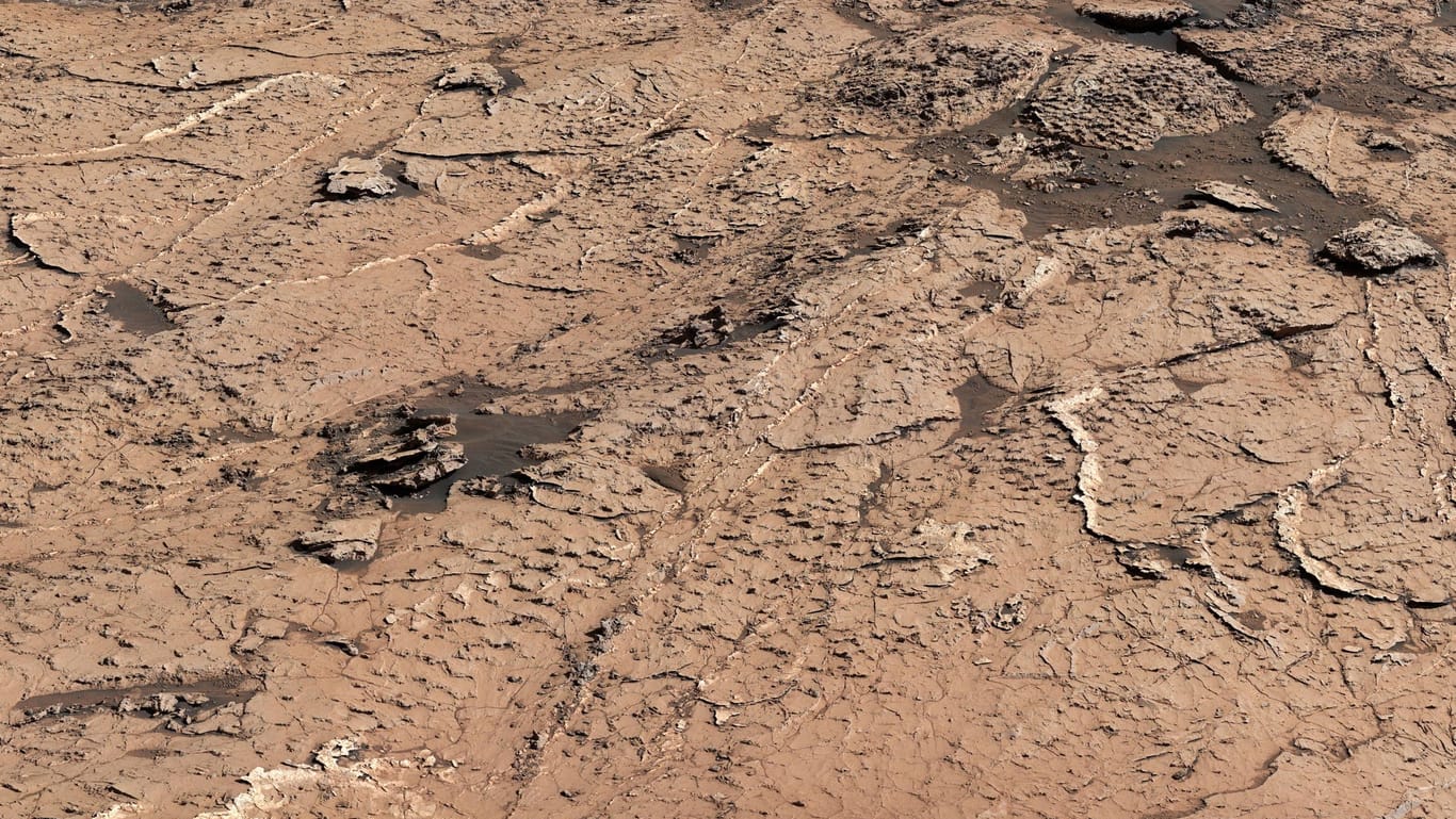 Schlammrisse auf dem Mars: Ein Beweis für Leben?
