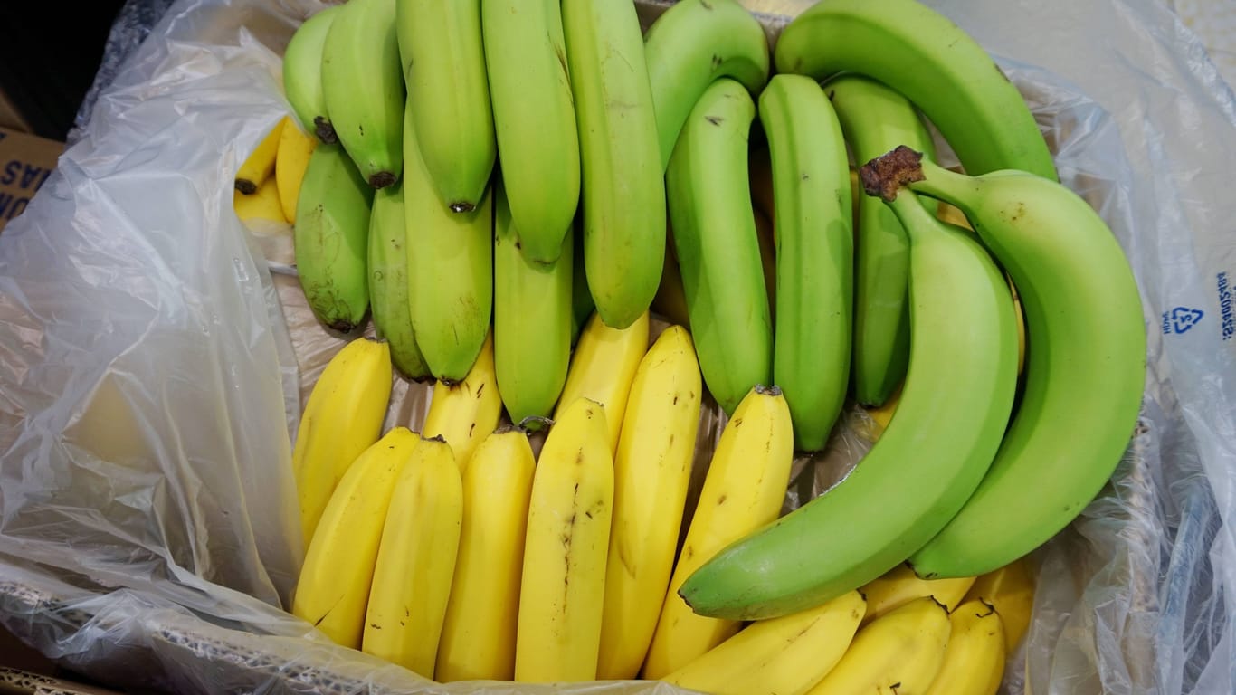 Unreife und reife Bananen (Symbolbild):
