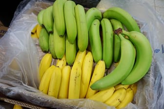 Unreife und reife Bananen (Symbolbild):