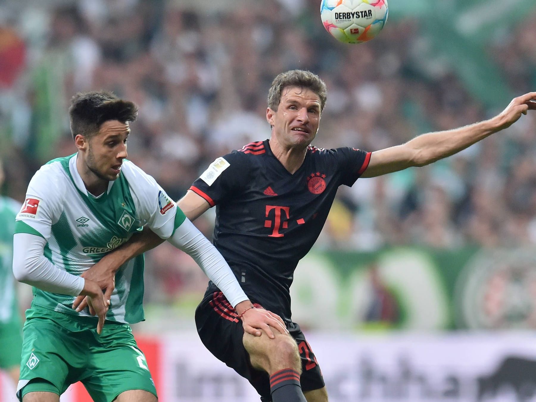 Werder Bremen gegen FC Bayern München Bundesliga-Auftakt im Free-TV und Stream