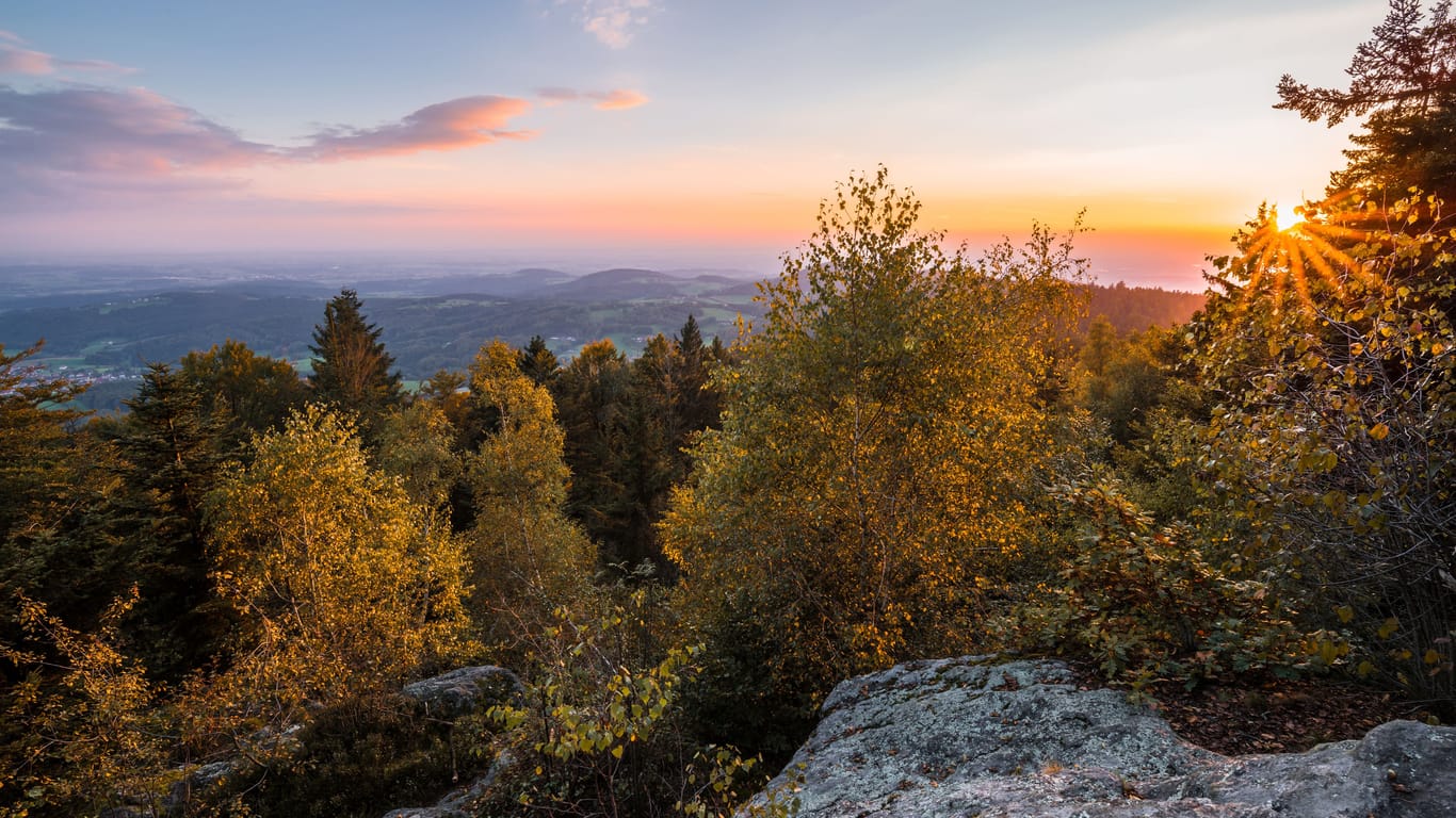 Ausblick über den Bayerischen Wald: Die Gegend hat mehr als nur schöne Wanderwege zu bieten.