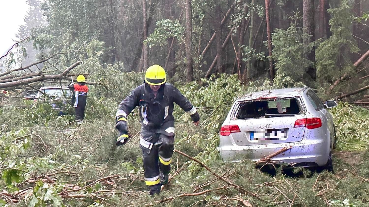 Die ganze Straße liegt voller Bäume und Äste: Mehrere Fahrzeuge wurden schwer beschädigt.