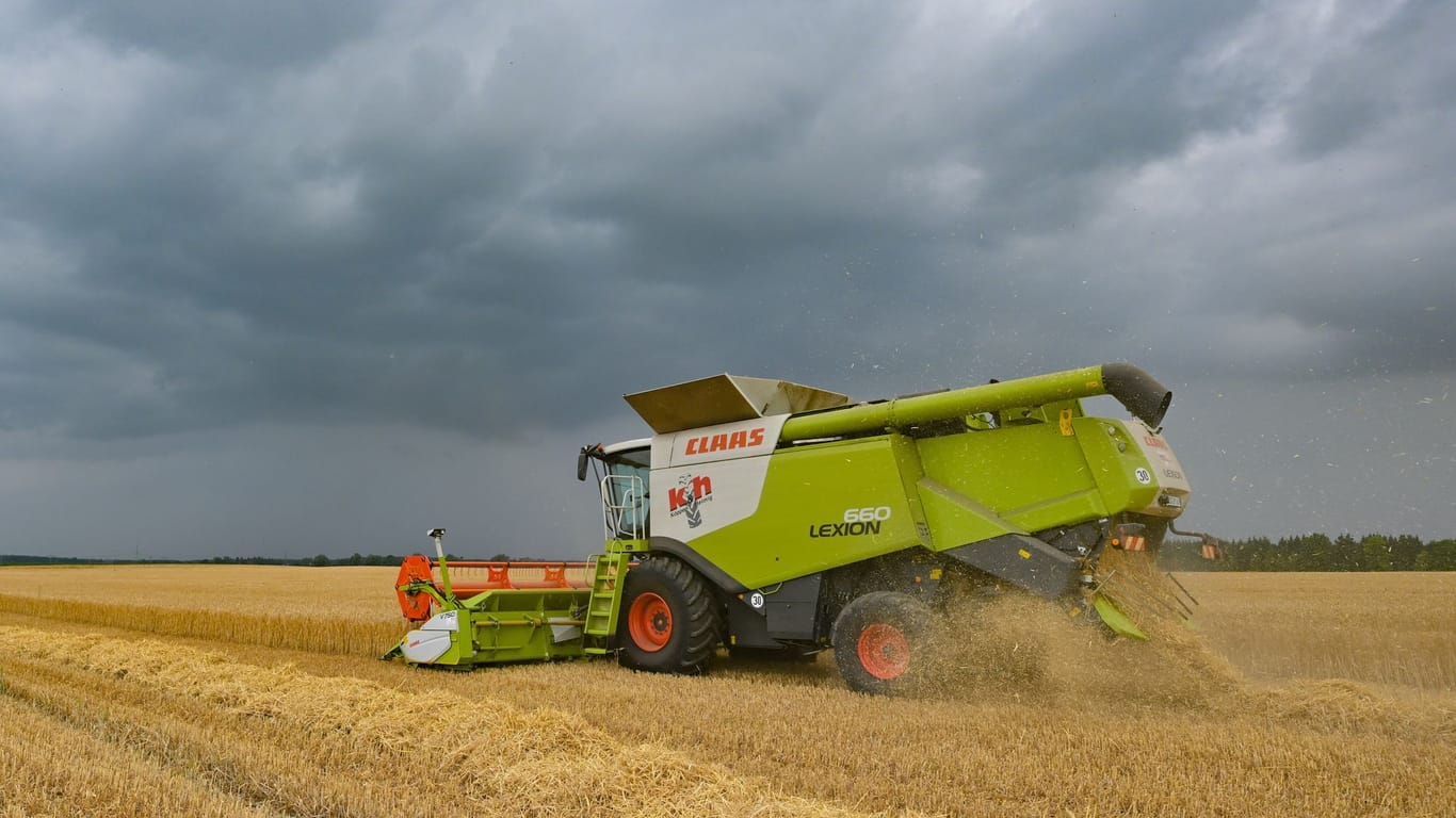 Dunkle Gewitterwolken ziehen über ein Feld, wo gerade ein Landwirt mit seinem Mähdrescher Wintergerste erntet.