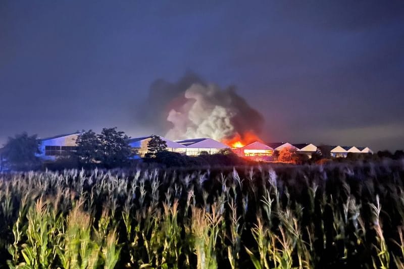 Swisttal: Eine Lagerhalle einer Papierverwertungsanlage steht in Brand.