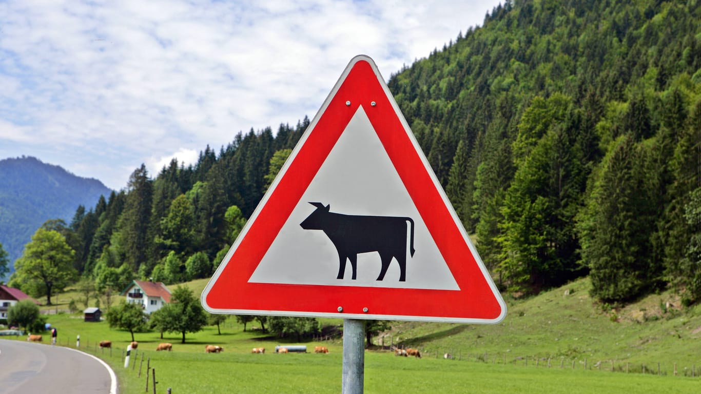 Das Verkehrszeichen 140 bedeutet: "Achtung! Hier kann Viehtrieb stattfinden."