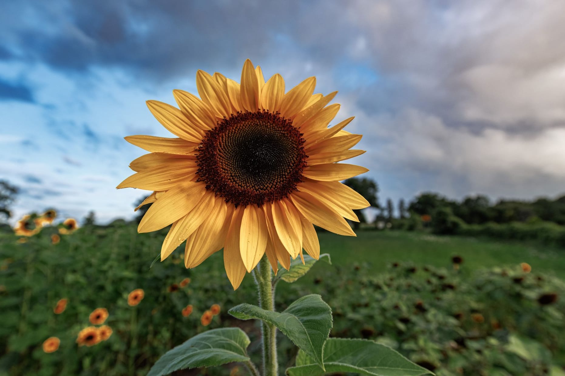 Schauer, aber auch Sonnenschein: Die Wetterlage am Wochenende ist wechselhaft.