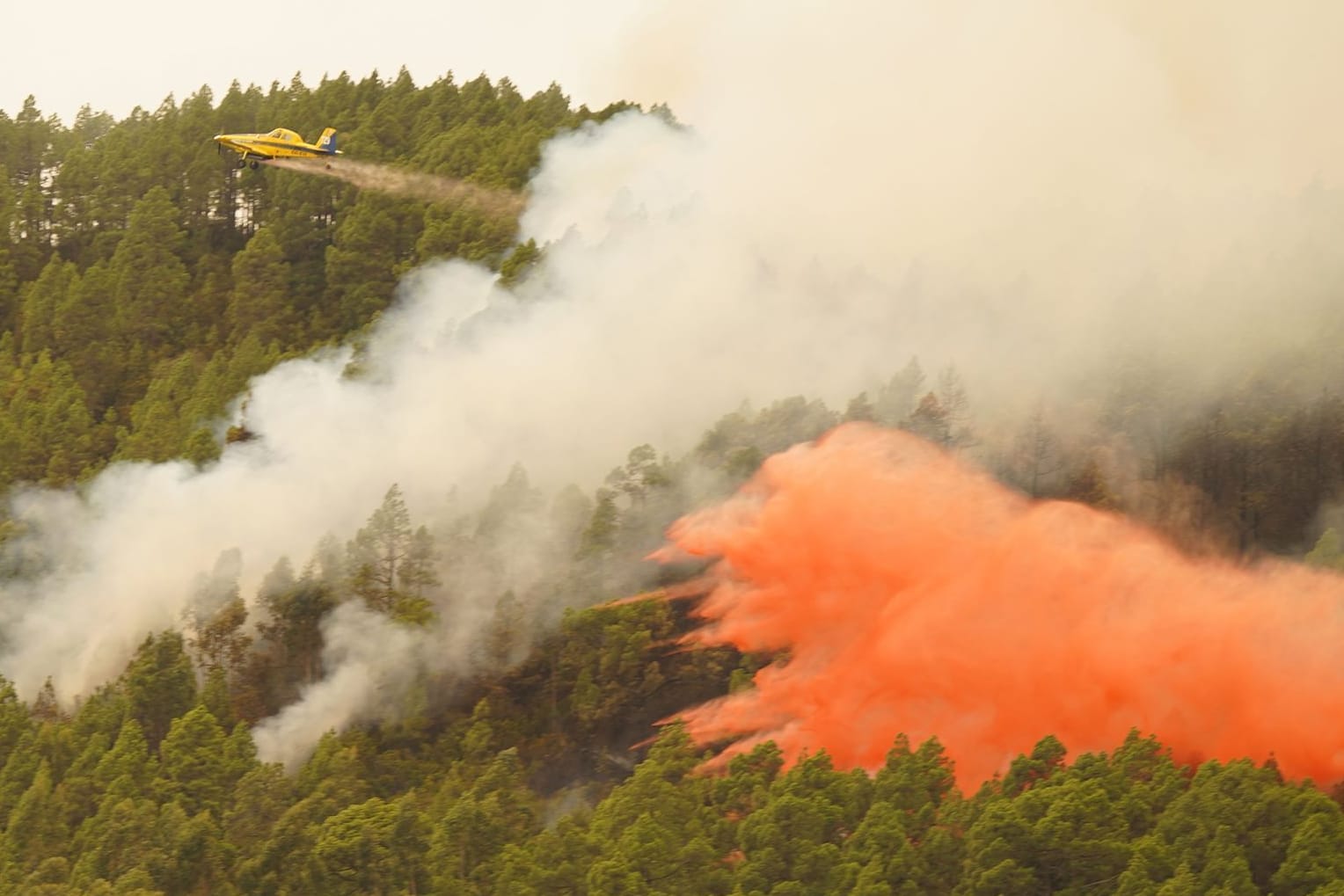 Waldbrand auf Teneriffa