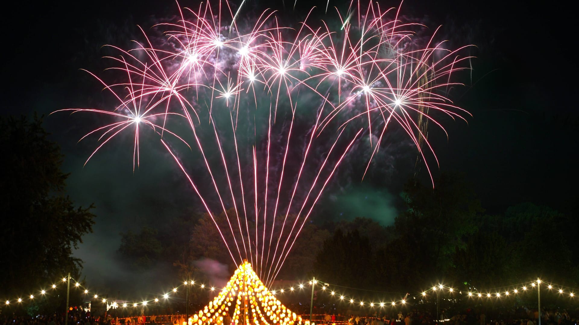 Das Feuerwerk am Himmel über dem Westfalenpark: Die laute Musik und das Knallen verunsicherten die Dortmunder.