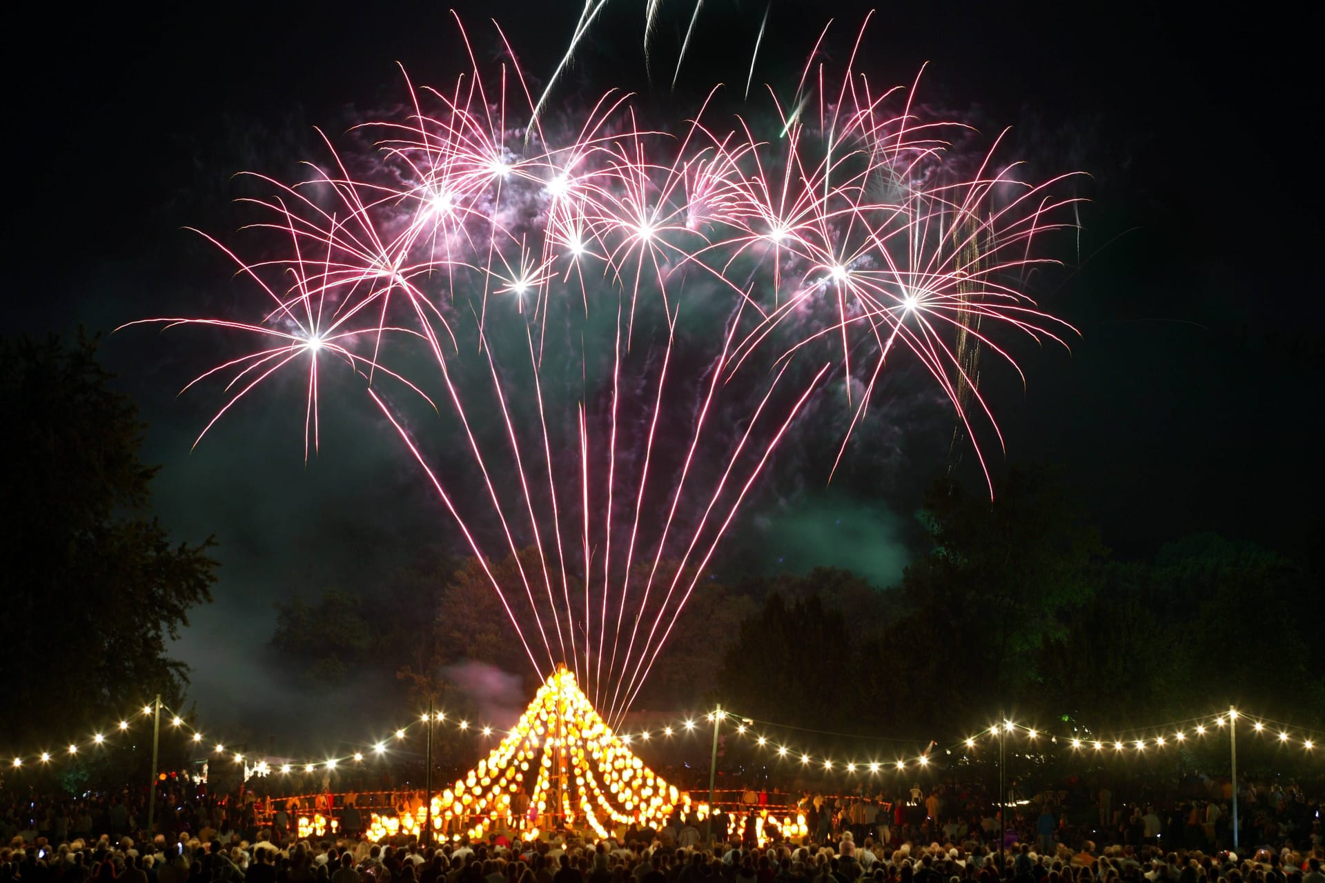 Das Feuerwerk am Himmel über dem Westfalenpark: Die laute Musik und das Knallen verunsicherten die Dortmunder.