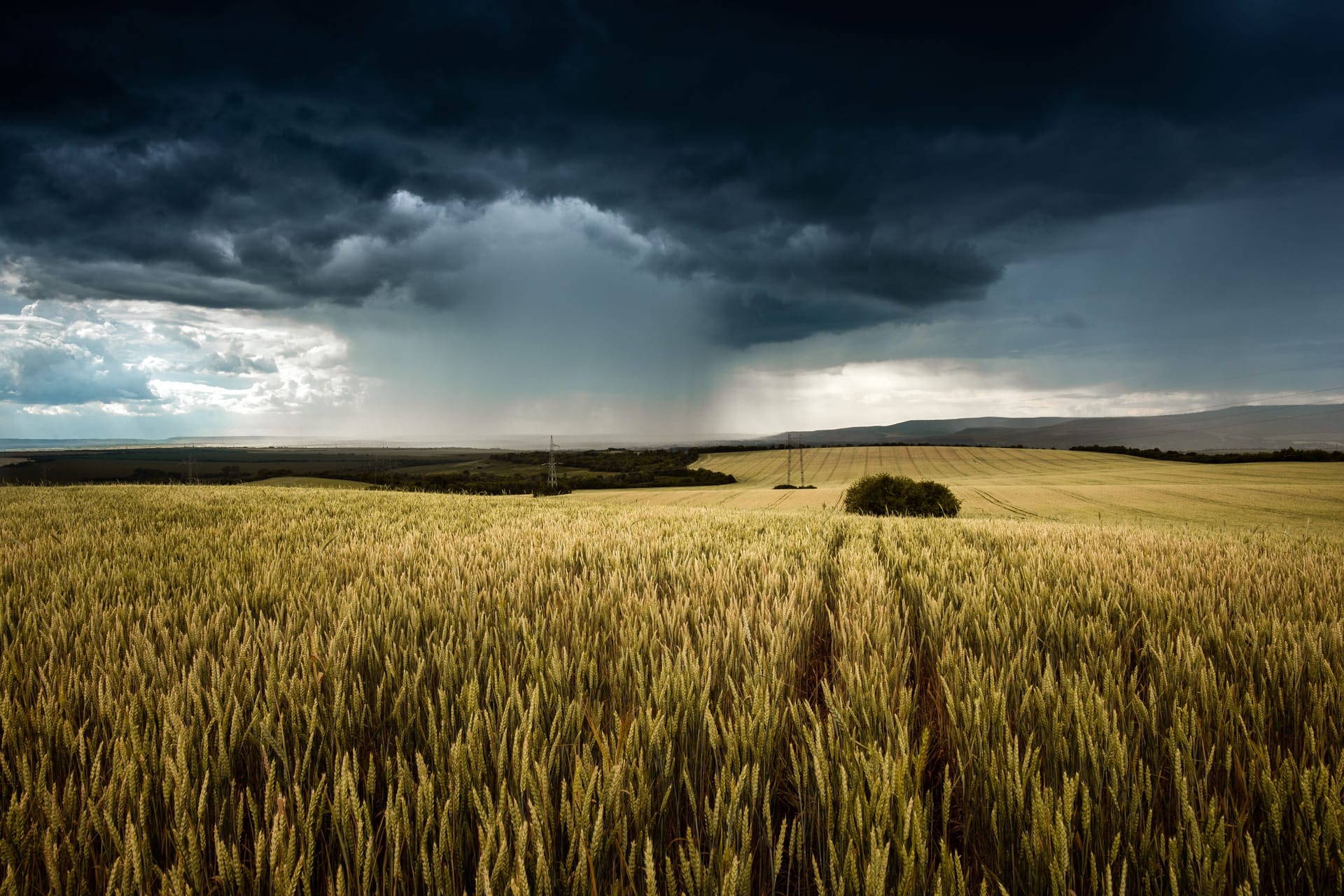 Zu heiß, zu nass und sehr sonnig: Das sagt der Deutsche Wetterdienst über den Sommer 2023.