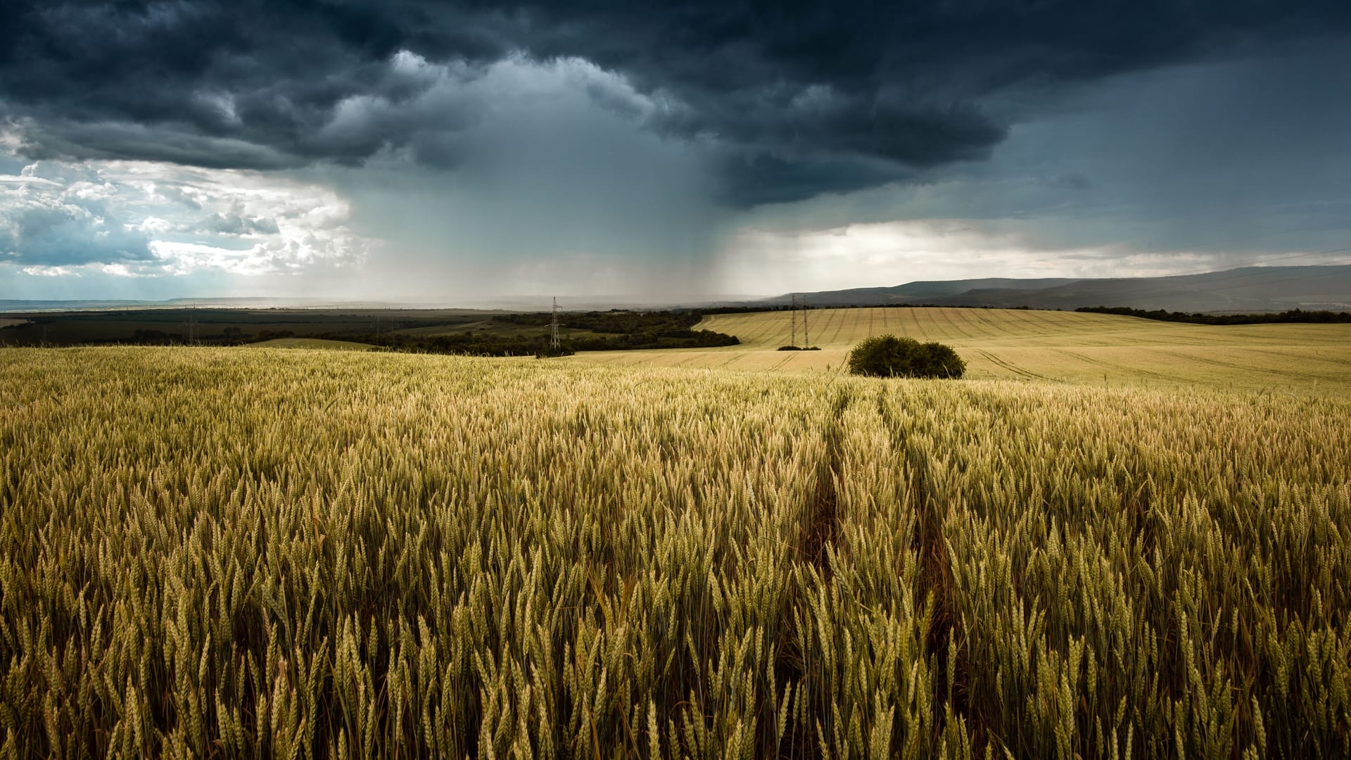 Zu heiß, zu nass und sehr sonnig: Das sagt der Deutsche Wetterdienst über den Sommer 2023.