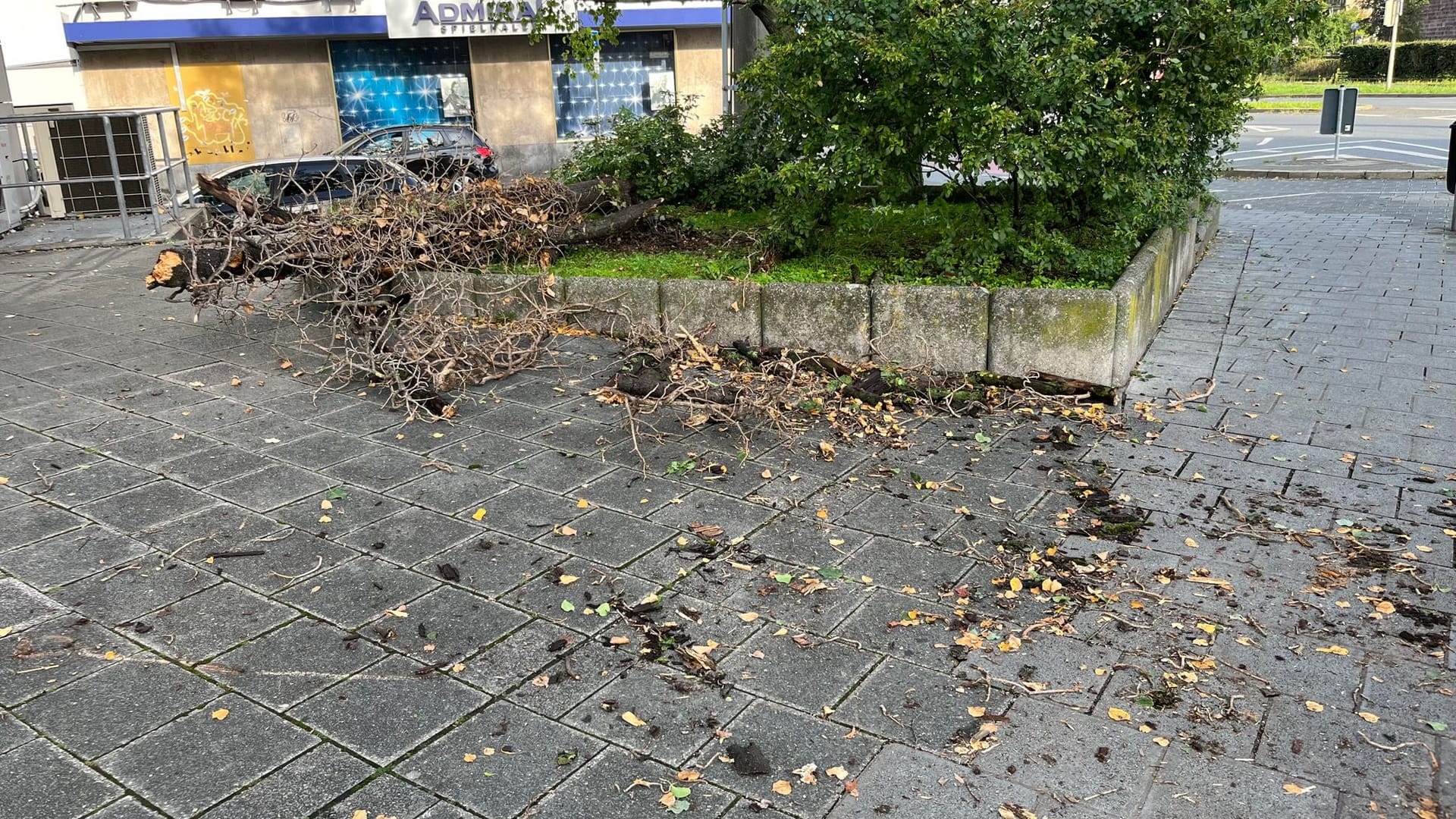 Auf den Gehwegen zeigt sich am Freitagmorgen noch die Verwüstung, die das Unwetter am Donnerstag mit sich brachte.