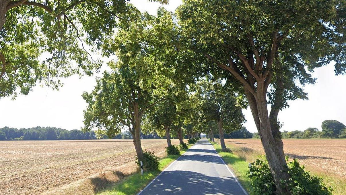 Die Landstraße zwischen den Ortschaften (Archivbild): Hier fanden Helfer den verletzten Jäger. Die Landstraße zwischen den Ortschaften (Archivbild): Hier fanden Helfer den verletzten Jäger.