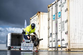 Ein Spürhund des Zolls kontrolliert die abgesaugte Luft aus einem Container. Das Hauptzollamt Bremen stellte die neue Technik für die Rauschgiftfahndung am Mittwoch vor.