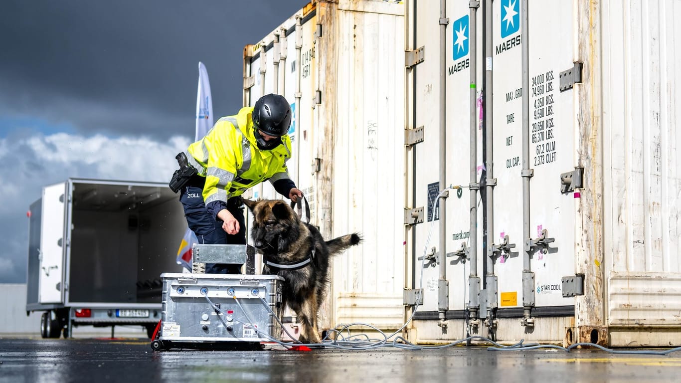 Ein Spürhund des Zolls kontrolliert die abgesaugte Luft aus einem Container. Das Hauptzollamt Bremen stellte die neue Technik für die Rauschgiftfahndung am Mittwoch vor.