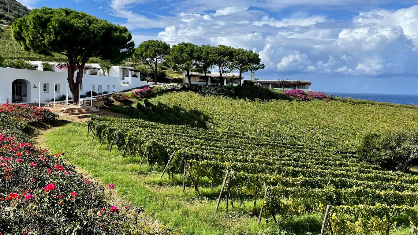 Im Weingut Capofaro: Auf Salina wachsen die Reben in unmittelbarer Nähe zum Meer.