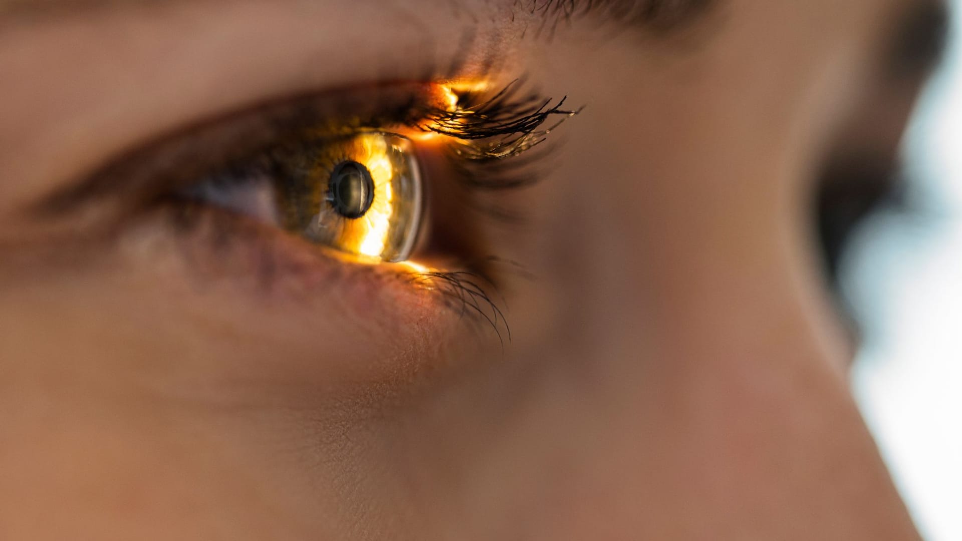 Im Sommer sind die UV-Strahlen der Sonne besonders intensiv. Da sie für die Augen schädlich sind, sollte man im Sommer eine Sonnenbrille tragen.