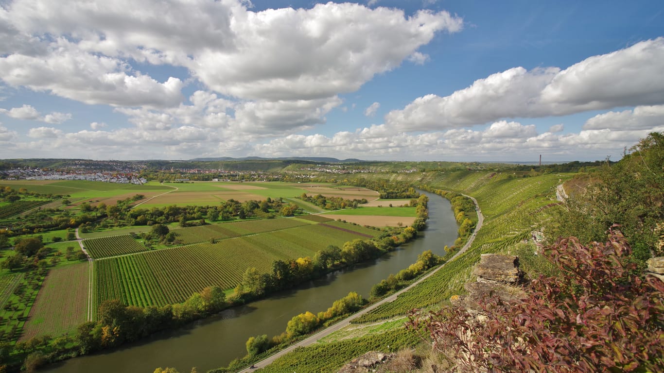 Der Neckar (Symbolbild) ist mit einer Länge von 262 Kilometern der fünftgrößte Nebenfluss des Rheins.