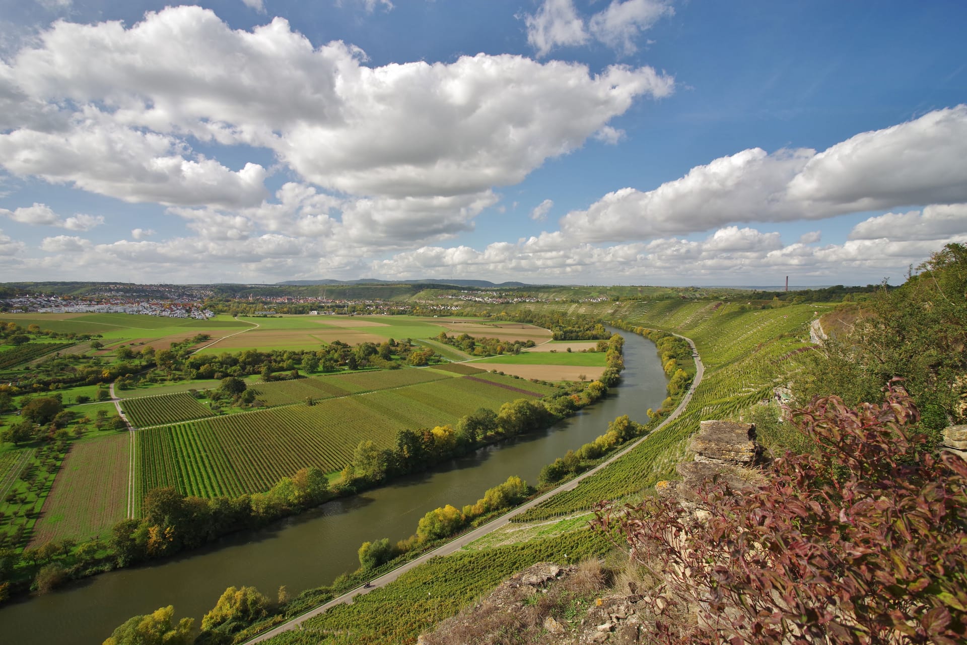 Der Neckar (Symbolbild) ist mit einer Länge von 262 Kilometern der fünftgrößte Nebenfluss des Rheins.