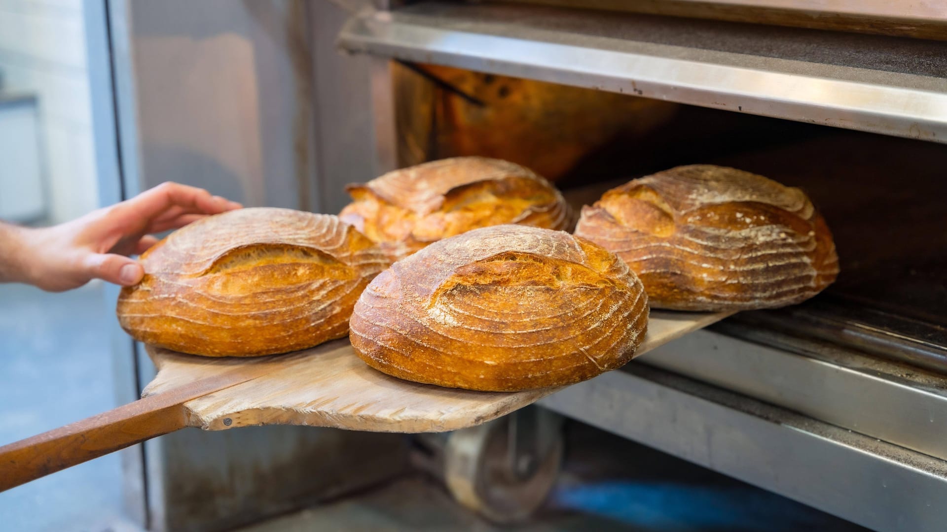 Brote in einer Bäckerei (Symbolfoto): Die Hofpfisterei zählt zu den besten Bäckereien Deutschlands.