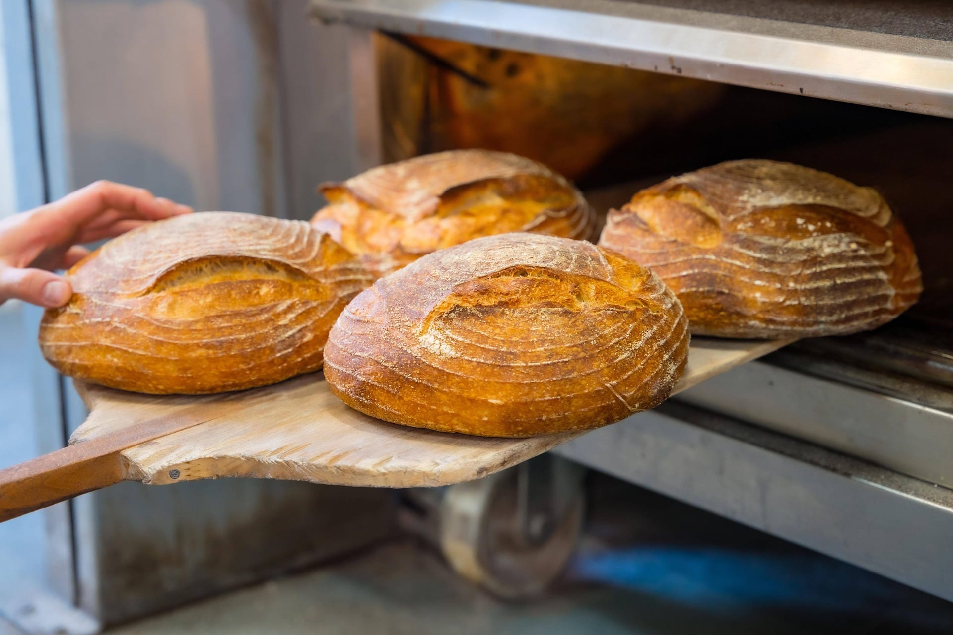 Brote in einer Bäckerei (Symbolfoto): Die Hofpfisterei zählt zu den besten Bäckereien Deutschlands.